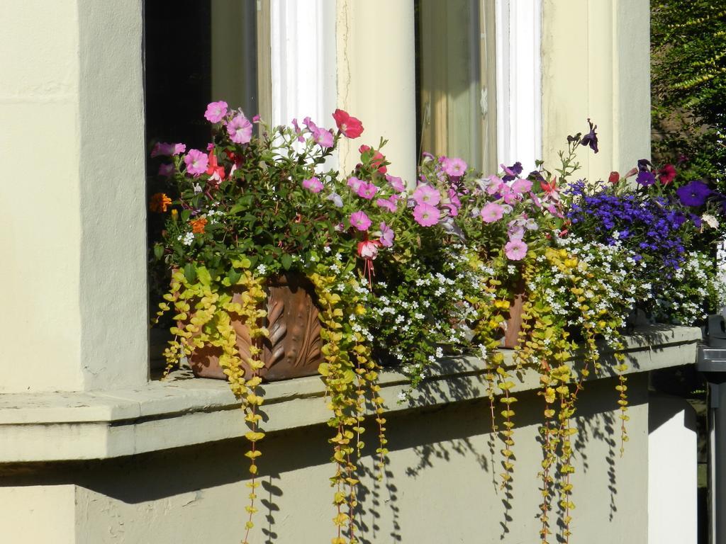 Balmoral Guesthouse Edinburgh Exterior photo